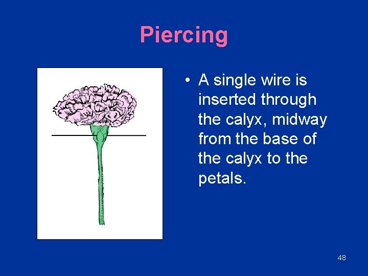 Piercing • A single wire is inserted through the calyx, midway from the base