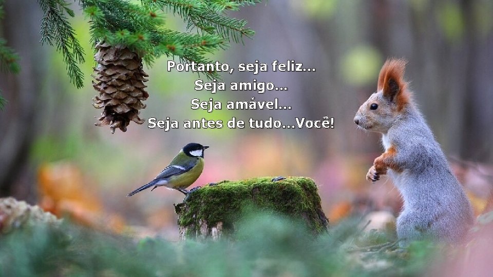 Portanto, seja feliz. . . Seja amigo. . . Seja amável. . . Seja