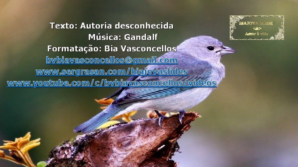 Texto: Autoria desconhecida Música: Gandalf Formatação: Bia Vasconcellos bvbiavasconcellos@gmail. com www. sergrasan. com/biajovaslides www.