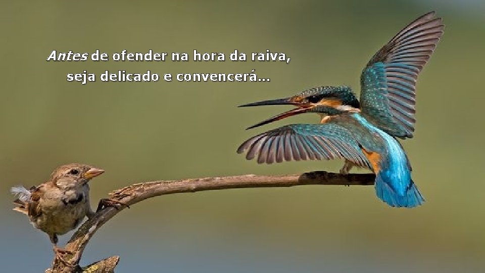 Antes de ofender na hora da raiva, seja delicado e convencerá. . . 