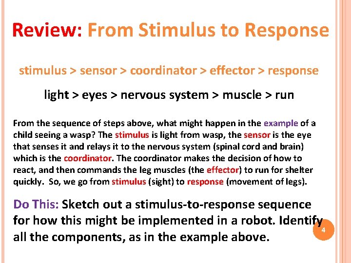 Review: From Stimulus to Response stimulus > sensor > coordinator > effector > response