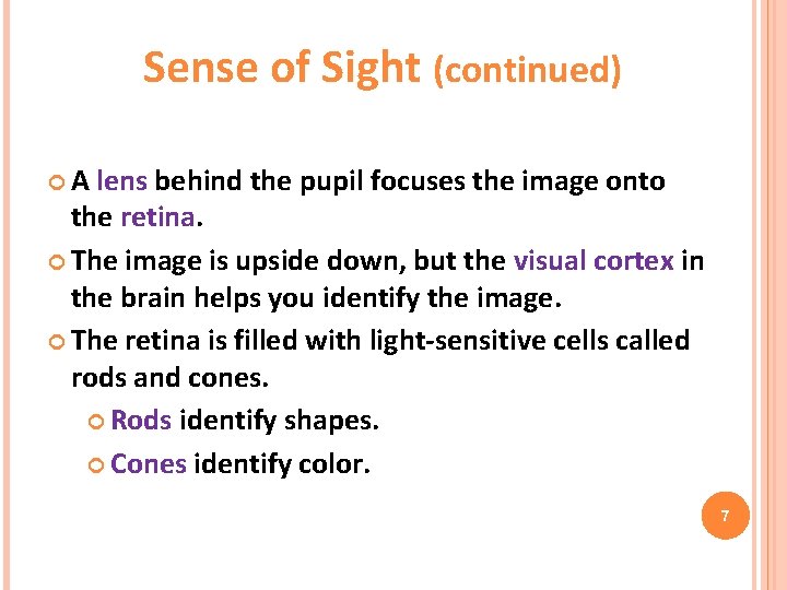 Sense of Sight (continued) A lens behind the pupil focuses the image onto the