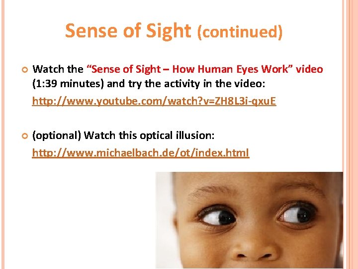 Sense of Sight (continued) Watch the “Sense of Sight – How Human Eyes Work”