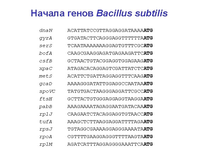 Начала генов Bacillus subtilis dna. N ACATTATCCGTTAGGAGGATAAAAATG gyr. A GTGATACTTCAGGGAGGTTTTTTAATG ser. S TCAATAAAAAAAGGAGTGTTTCGCATG bof.