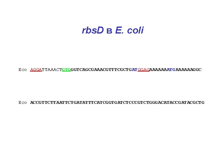 rbs. D в E. coli Eco AGGATTAAACTGTGGGTCAGCGAAACGTTTCGCTGATGGAGAAAAAAATGAAAAAAGGC Eco ACCGTTCTTAATTCTGATATTTCATCGGTGATCTCCCGTCTGGGACATACCGATACGCTG 