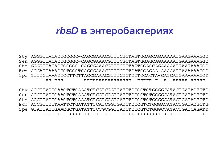 rbs. D в энтеробактериях Sty AGGGTTACACTGCGGC-CAGCGAAACGTTTCGCTAGTGGAGCAGAAAAATGAAGAAAGGC Sen AGGGTTACACTGCGGC-CAGCGAAACGTTTCGCTAGTGGAGCAGAAAAATGAAGAAAGGC Stm GGGGTTACACTGCGGC-CAGCGAAACGTTTCGCTAGTGGAGCAGAAAAATGAAGAAAGGC Eco AGGATTAAACTGTGGGTCAGCGAAACGTTTCGCTGATGGAGAA-AAAAATGAAAAAAGGC Ype TTTTCTAAACTCCTTGTTAGCGAAACGTTTCGCTCTTGGAGTA-GATCATGAAAAAAGGT