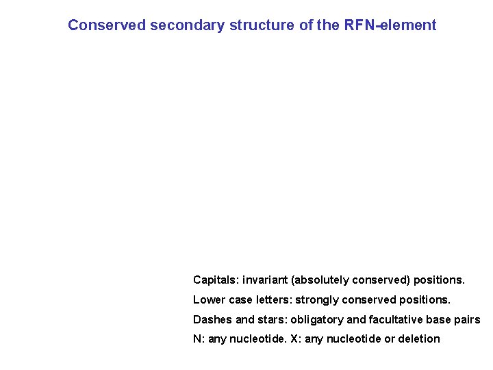 Conserved secondary structure of the RFN-element Capitals: invariant (absolutely conserved) positions. Lower case letters: