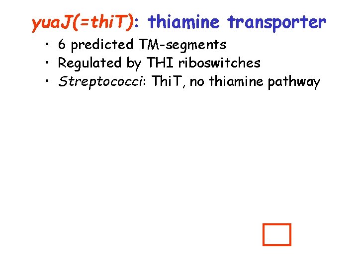 yua. J(=thi. T): thiamine transporter • 6 predicted TM-segments • Regulated by THI riboswitches