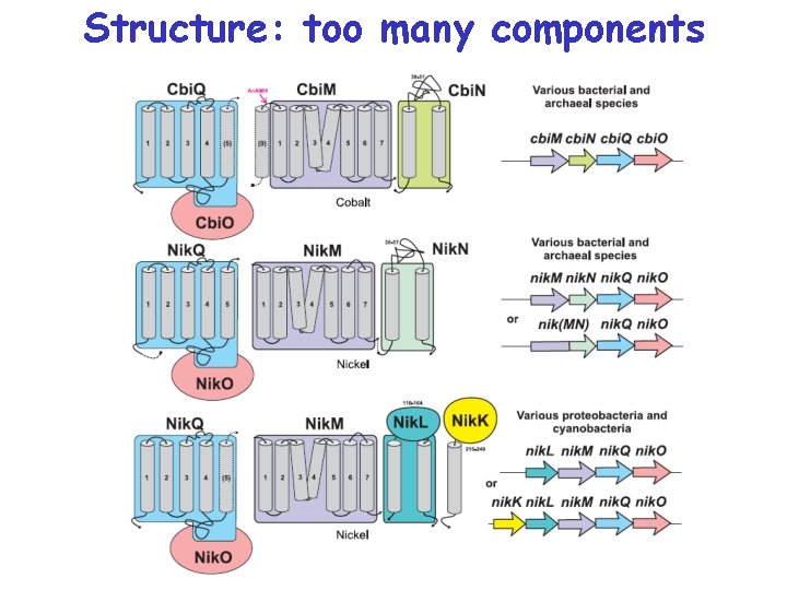 Structure: too many components 