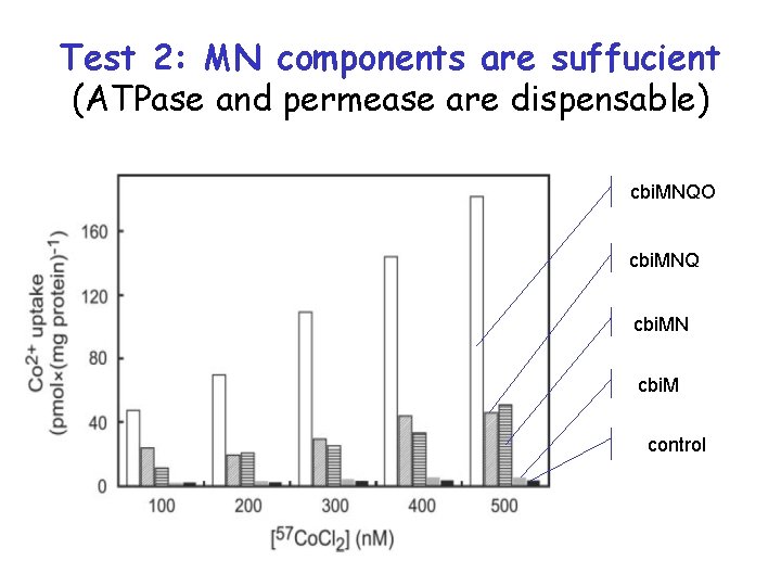 Test 2: MN components are suffucient (ATPase and permease are dispensable) cbi. MNQO cbi.