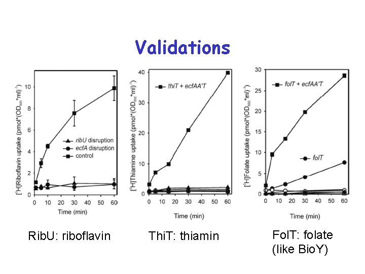 Validations Rib. U: riboflavin Thi. T: thiamin Fol. T: folate (like Bio. Y) 