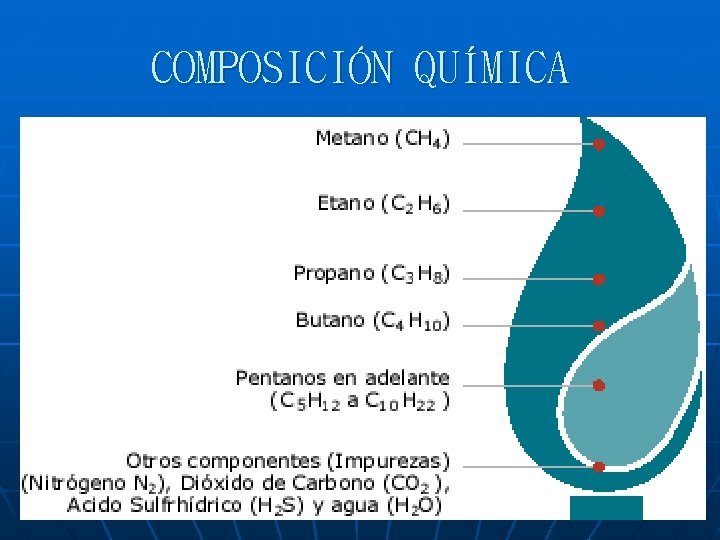 COMPOSICIÓN QUÍMICA 