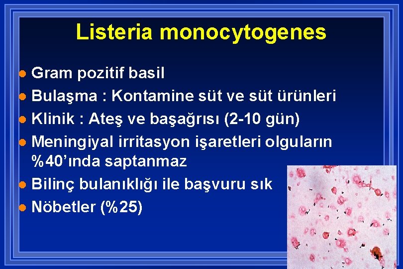 Listeria monocytogenes Gram pozitif basil l Bulaşma : Kontamine süt ve süt ürünleri l