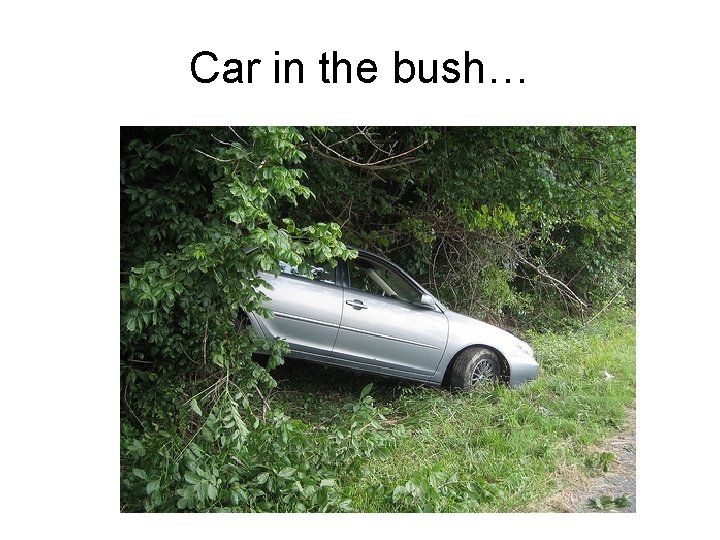 Car in the bush… 