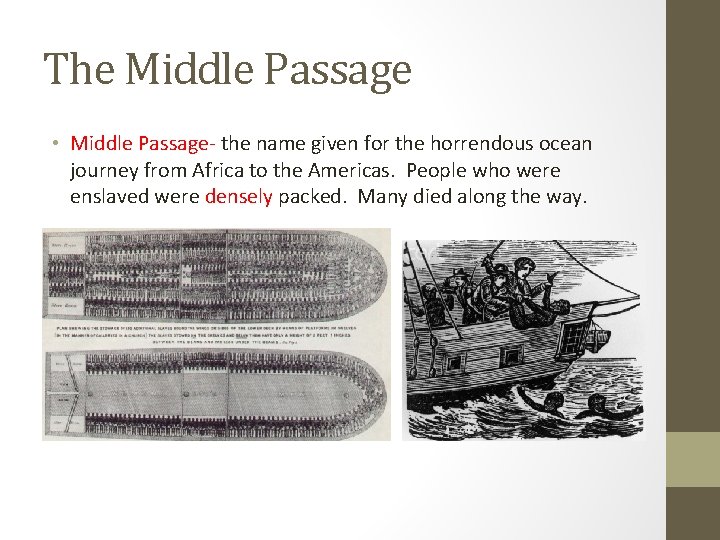 The Middle Passage • Middle Passage- the name given for the horrendous ocean journey