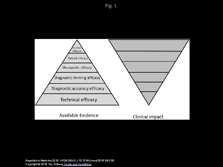 Fig. 1 Respiratory Medicine 2018 14126 -36 DOI: (10. 1016/j. rmed. 2018. 06. 018)