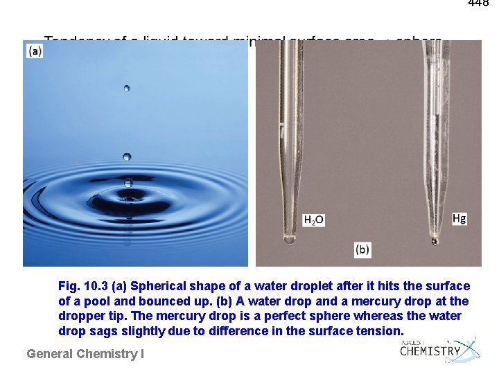 448 Fig. 10. 3 (a) Spherical shape of a water droplet after it hits