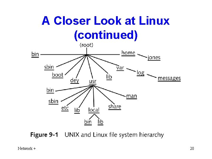 A Closer Look at Linux (continued) Network + 20 