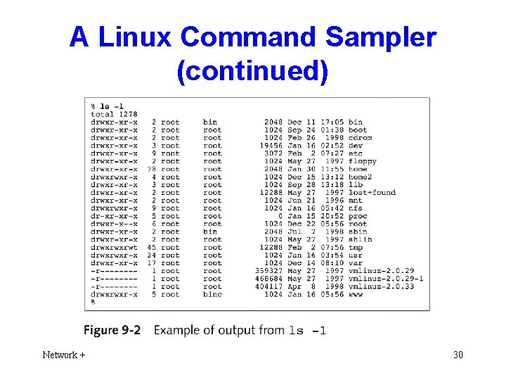 A Linux Command Sampler (continued) Network + 30 