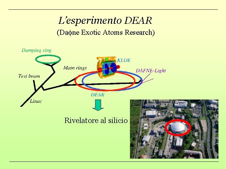 L’esperimento DEAR (Dafne Exotic Atoms Research) Rivelatore al silicio 