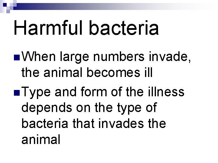 Harmful bacteria n When large numbers invade, the animal becomes ill n Type and Harmful bacteria n When large numbers invade, the animal becomes ill n Type and