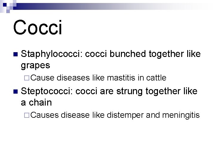 Cocci n Staphylococci: cocci bunched together like grapes ¨ Cause n diseases like mastitis Cocci n Staphylococci: cocci bunched together like grapes ¨ Cause n diseases like mastitis