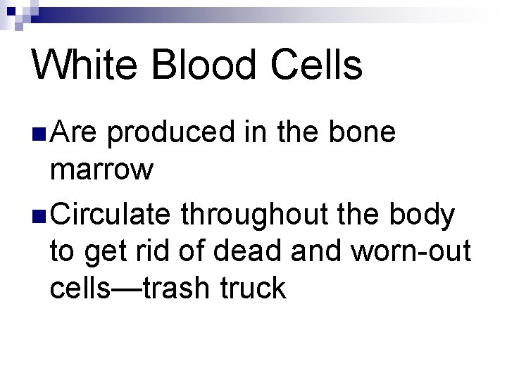 White Blood Cells n Are produced in the bone marrow n Circulate throughout the White Blood Cells n Are produced in the bone marrow n Circulate throughout the