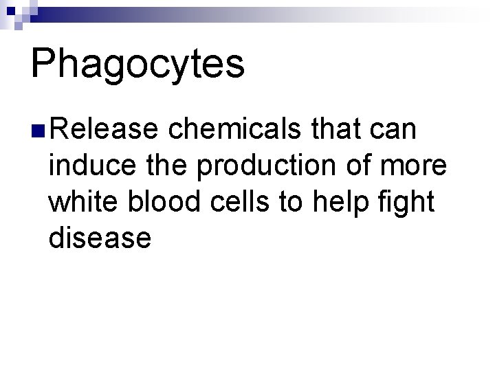 Phagocytes n Release chemicals that can induce the production of more white blood cells Phagocytes n Release chemicals that can induce the production of more white blood cells