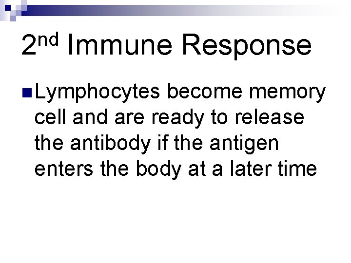 nd 2 Immune Response n Lymphocytes become memory cell and are ready to release nd 2 Immune Response n Lymphocytes become memory cell and are ready to release