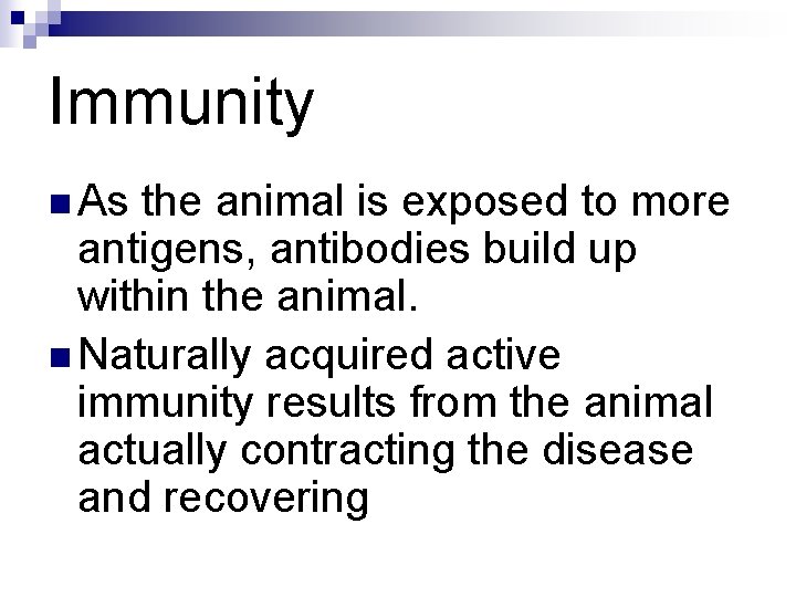 Immunity n As the animal is exposed to more antigens, antibodies build up within Immunity n As the animal is exposed to more antigens, antibodies build up within