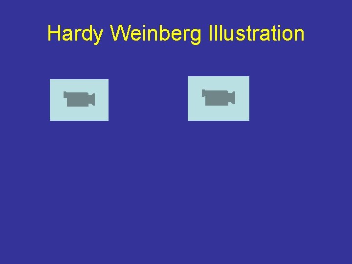 Hardy Weinberg Illustration 