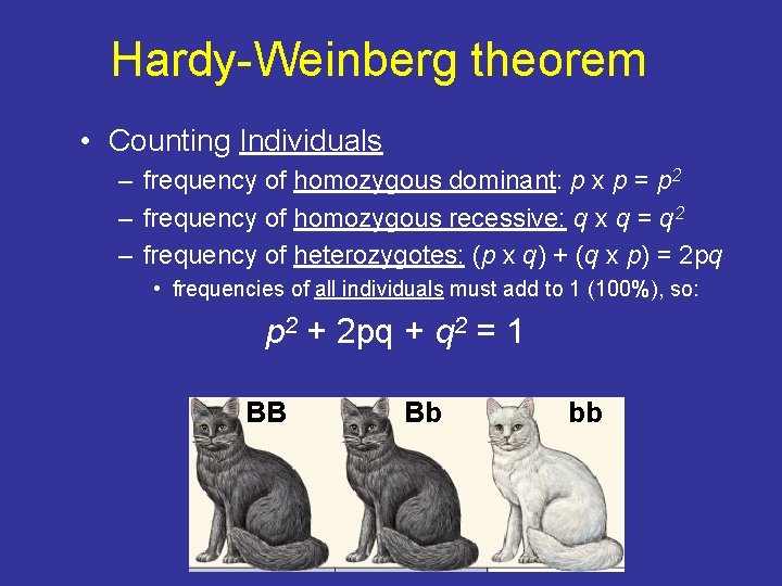 Hardy-Weinberg theorem • Counting Individuals – frequency of homozygous dominant: p x p =