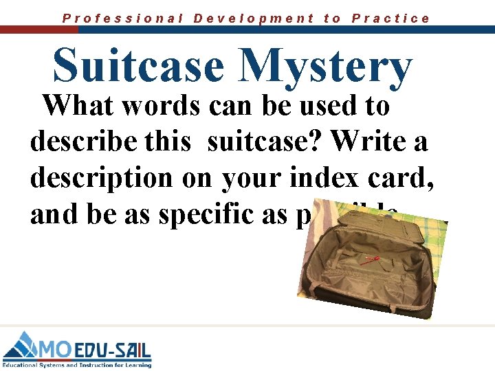Professional Development to Practice Suitcase Mystery What words can be used to describe this