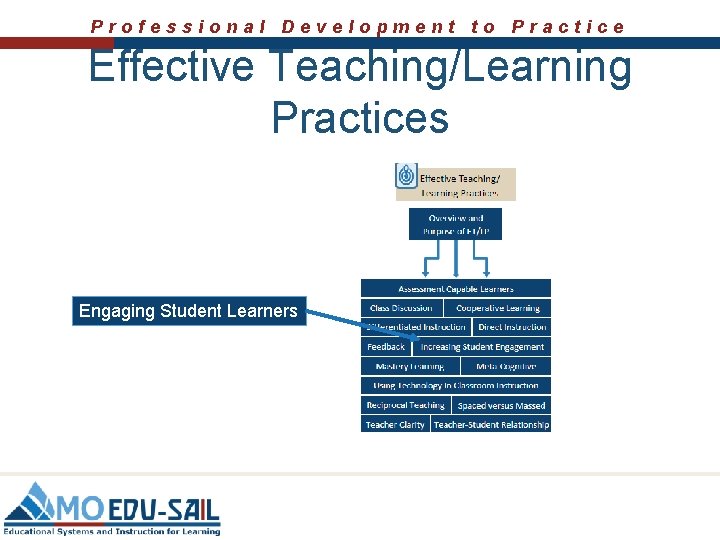 Professional Development to Practice Effective Teaching/Learning Practices Engaging Student Learners 