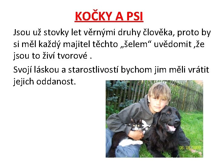 KOČKY A PSI Jsou už stovky let věrnými druhy člověka, proto by si měl