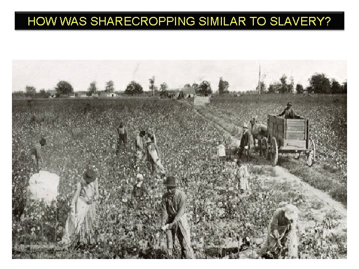 HOW WAS SHARECROPPING SIMILAR TO SLAVERY? HOW WAS SHARECROPPING SIMILAR TO SLAVERY?