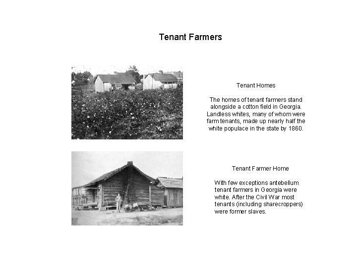 Tenant Farmers Tenant Homes The homes of tenant farmers stand alongside a cotton field Tenant Farmers Tenant Homes The homes of tenant farmers stand alongside a cotton field