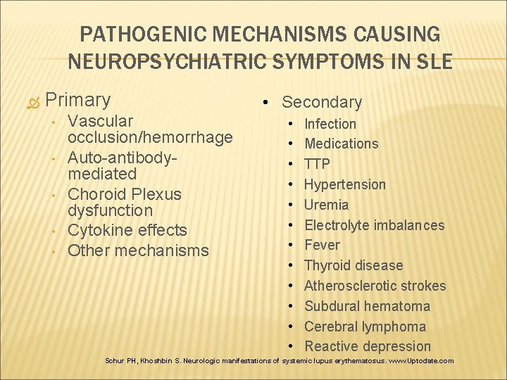 PATHOGENIC MECHANISMS CAUSING NEUROPSYCHIATRIC SYMPTOMS IN SLE Primary • • • Vascular occlusion/hemorrhage Auto-antibodymediated