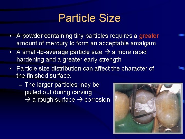 Particle Size • A powder containing tiny particles requires a greater amount of mercury