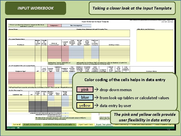 INPUT WORKBOOK Taking a closer look at the Input Template Color coding of the