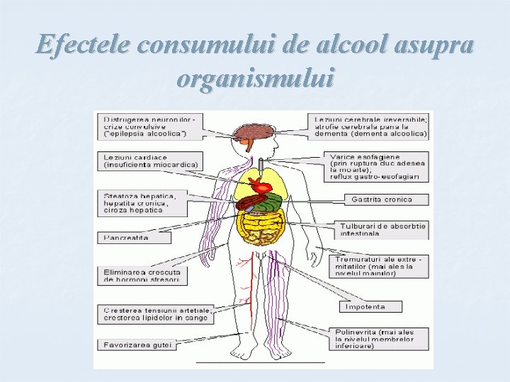 Efectele consumului de alcool asupra organismului 