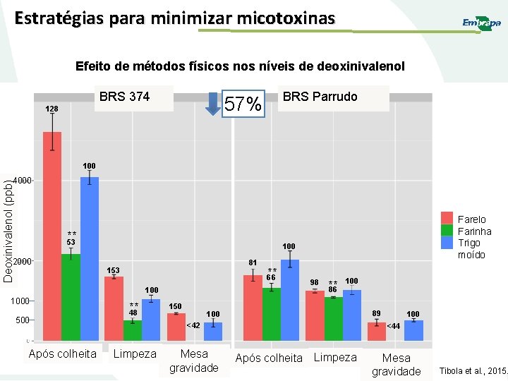 Estratégias para minimizar micotoxinas Efeito de métodos físicos níveis de deoxinivalenol BRS 374 BRS