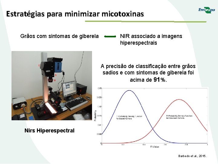 Estratégias para minimizar micotoxinas Grãos com sintomas de giberela NIR associado a imagens hiperespectrais