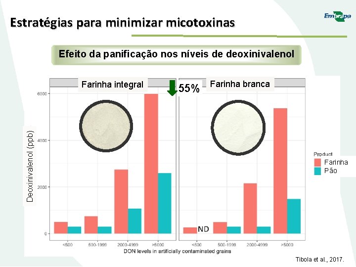 Estratégias para minimizar micotoxinas Efeito da panificação nos níveis de deoxinivalenol Deoxinivalenol (ppb) Farinha