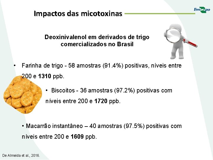 Impactos das micotoxinas Deoxinivalenol em derivados de trigo comercializados no Brasil • Farinha de