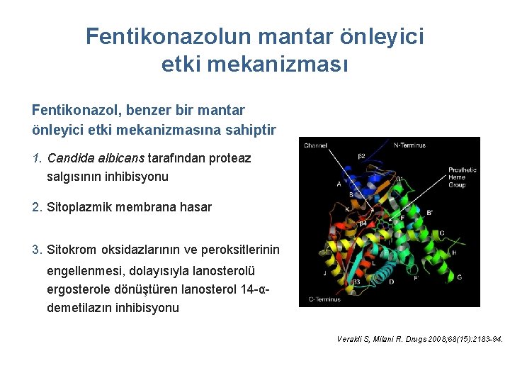 Fentikonazolun mantar önleyici etki mekanizması Fentikonazol, benzer bir mantar önleyici etki mekanizmasına sahiptir 1.