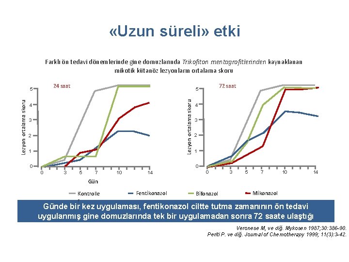  «Uzun süreli» etki Farklı ön tedavi dönemlerinde gine domuzlarında Trikofiton mentagrofitlerinden kaynaklanan mikotik