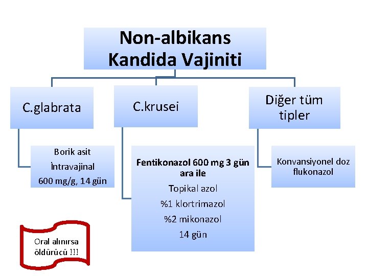 Non-albikans Kandida Vajiniti C. glabrata Borik asit İntravajinal 600 mg/g, 14 gün Oral alınırsa
