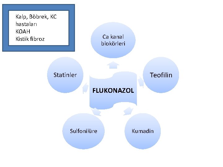 Kalp, Böbrek, KC hastaları KOAH Kistik fibroz Ca kanal blokörleri Teofilin Statinler FLUKONAZOL Sulfonilüre