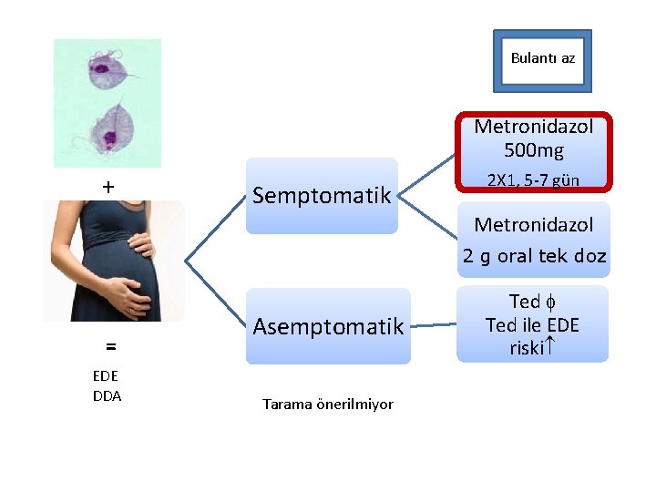 Bulantı az Metronidazol 500 mg + Semptomatik 2 X 1, 5 -7 gün Metronidazol